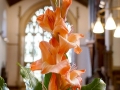 Flower Festival October 2018