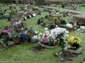 Lexden Garden of Rest and Columbarium